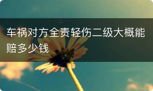 车祸对方全责轻伤二级大概能赔多少钱