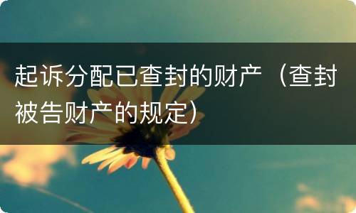 起诉分配已查封的财产（查封被告财产的规定）