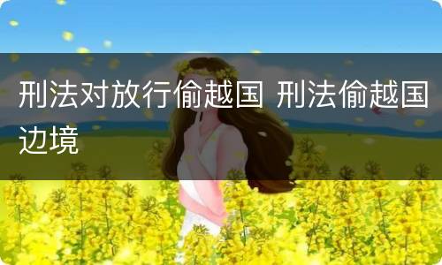 刑法对放行偷越国 刑法偷越国边境