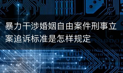暴力干涉婚姻自由案件刑事立案追诉标准是怎样规定