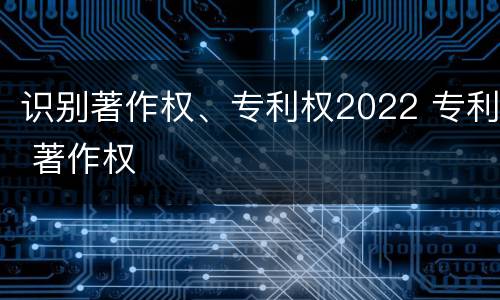 识别著作权、专利权2022 专利 著作权