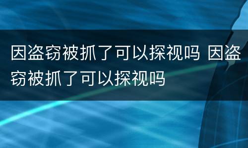 因盗窃被抓了可以探视吗 因盗窃被抓了可以探视吗