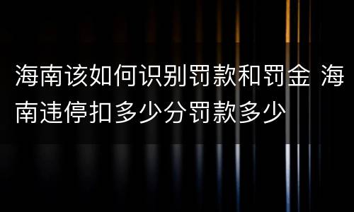 海南该如何识别罚款和罚金 海南违停扣多少分罚款多少