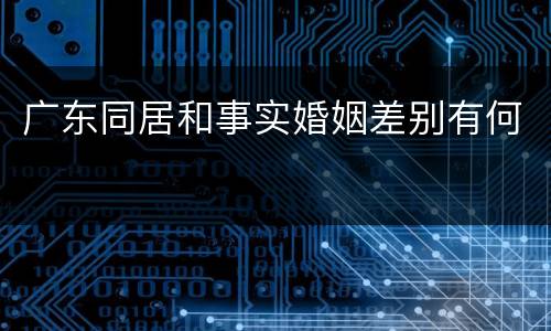 广东同居和事实婚姻差别有何
