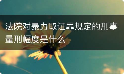 法院对暴力取证罪规定的刑事量刑幅度是什么