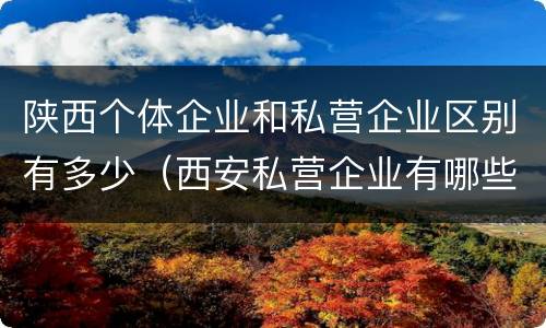 陕西个体企业和私营企业区别有多少（西安私营企业有哪些）