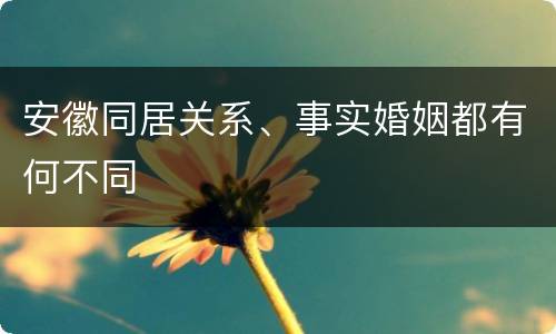 安徽同居关系、事实婚姻都有何不同
