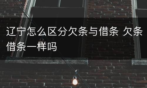 辽宁怎么区分欠条与借条 欠条借条一样吗