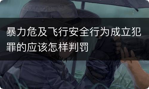 暴力危及飞行安全行为成立犯罪的应该怎样判罚