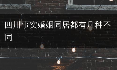 四川事实婚姻同居都有几种不同