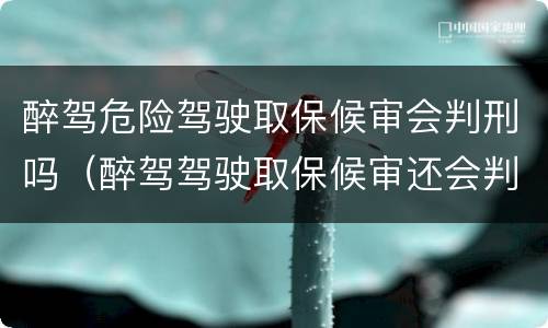 醉驾危险驾驶取保候审会判刑吗（醉驾驾驶取保候审还会判刑吗）