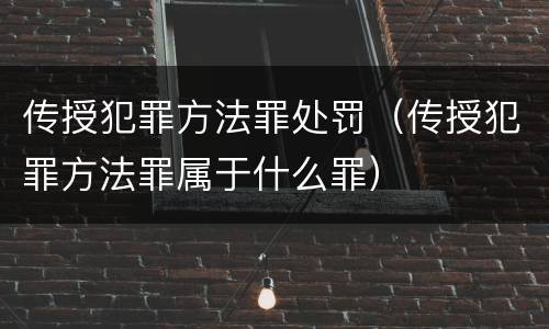 传授犯罪方法罪处罚（传授犯罪方法罪属于什么罪）