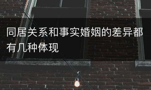 同居关系和事实婚姻的差异都有几种体现