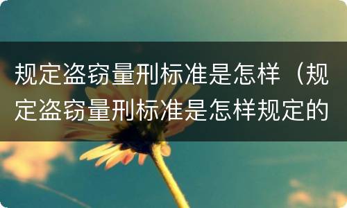 规定盗窃量刑标准是怎样（规定盗窃量刑标准是怎样规定的）