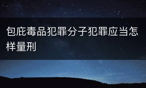 包庇毒品犯罪分子犯罪应当怎样量刑