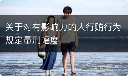 关于对有影响力的人行贿行为规定量刑幅度