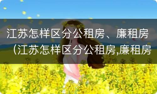 江苏怎样区分公租房、廉租房（江苏怎样区分公租房,廉租房和商品房）