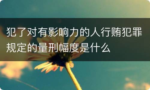 犯了对有影响力的人行贿犯罪规定的量刑幅度是什么