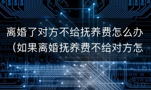 离婚了对方不给抚养费怎么办（如果离婚抚养费不给对方怎么办）