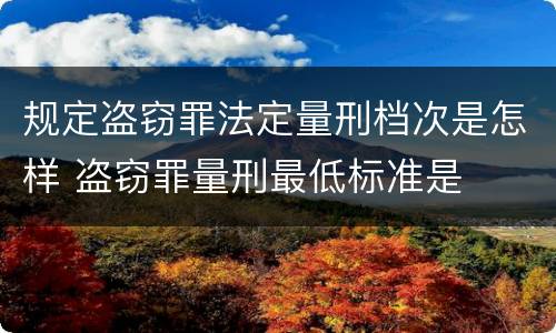 规定盗窃罪法定量刑档次是怎样 盗窃罪量刑最低标准是