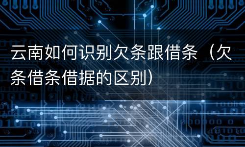 云南如何识别欠条跟借条（欠条借条借据的区别）