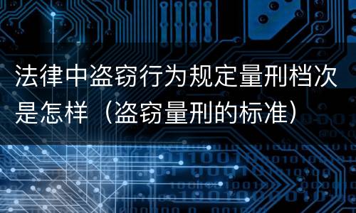 法律中盗窃行为规定量刑档次是怎样（盗窃量刑的标准）
