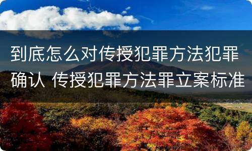 到底怎么对传授犯罪方法犯罪确认 传授犯罪方法罪立案标准