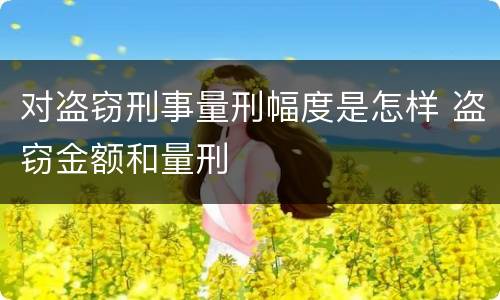 对盗窃刑事量刑幅度是怎样 盗窃金额和量刑