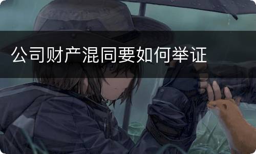 公司财产混同要如何举证