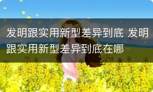 发明跟实用新型差异到底 发明跟实用新型差异到底在哪