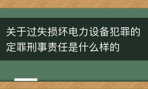 关于过失损坏电力设备犯罪的定罪刑事责任是什么样的