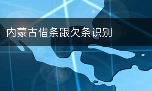 内蒙古借条跟欠条识别