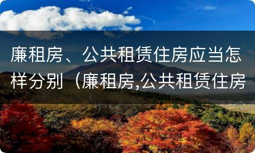廉租房、公共租赁住房应当怎样分别（廉租房,公共租赁住房应当怎样分别申请）