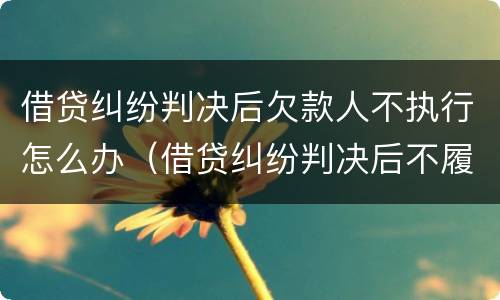 借贷纠纷判决后欠款人不执行怎么办（借贷纠纷判决后不履行）
