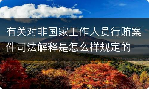 有关对非国家工作人员行贿案件司法解释是怎么样规定的