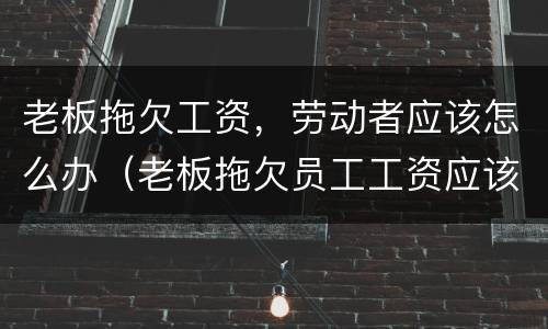 老板拖欠工资，劳动者应该怎么办（老板拖欠员工工资应该怎么办）