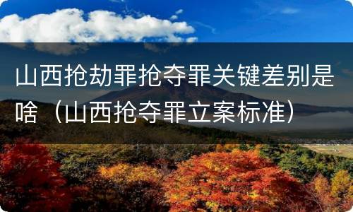 山西抢劫罪抢夺罪关键差别是啥（山西抢夺罪立案标准）