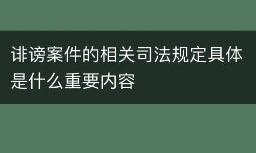 诽谤案件的相关司法规定具体是什么重要内容
