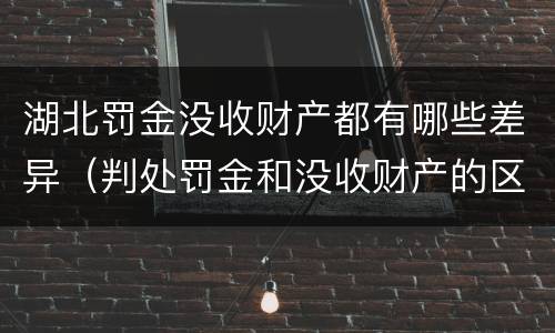 湖北罚金没收财产都有哪些差异（判处罚金和没收财产的区别）