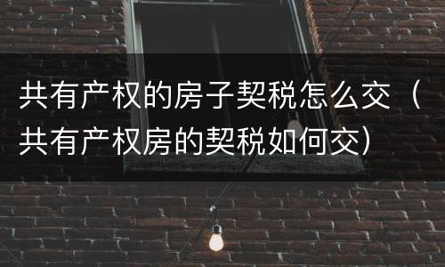 共有产权的房子契税怎么交（共有产权房的契税如何交）