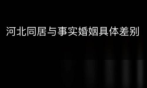 河北同居与事实婚姻具体差别