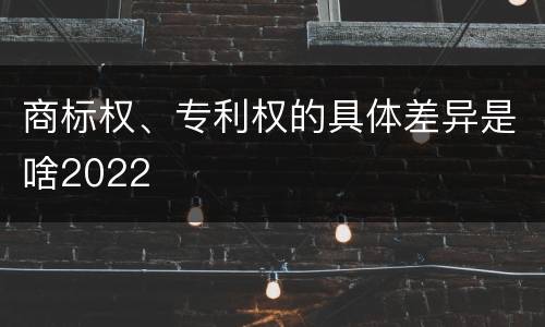 商标权、专利权的具体差异是啥2022
