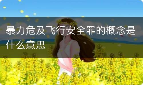 暴力危及飞行安全罪的概念是什么意思