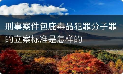 刑事案件包庇毒品犯罪分子罪的立案标准是怎样的