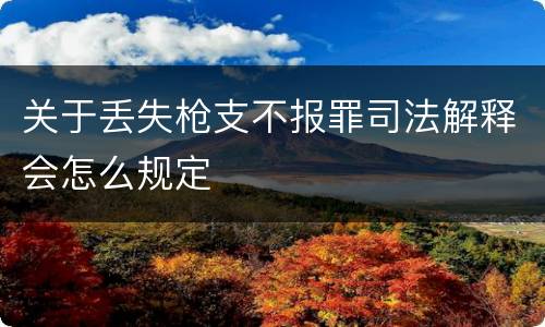 关于丢失枪支不报罪司法解释会怎么规定