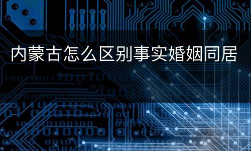 内蒙古怎么区别事实婚姻同居
