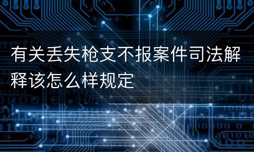 有关丢失枪支不报案件司法解释该怎么样规定
