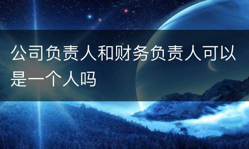 公司负责人和财务负责人可以是一个人吗