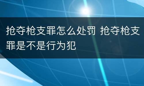 抢夺枪支罪怎么处罚 抢夺枪支罪是不是行为犯