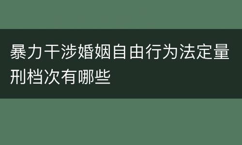 暴力干涉婚姻自由行为法定量刑档次有哪些